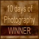 <img:stuff/Winner10days.jpg>