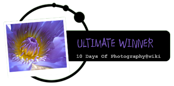 10 days of photography