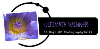 <img:stuff/aj/11111/10_Days_UltimateWinner.png>