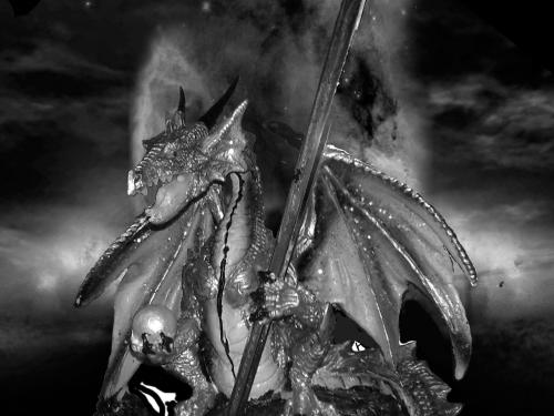 <img500*375:stuff/black_n_white_dragon.jpg>