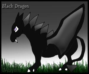 <img300*0:http://elftown.eu/stuff/blackdragonataykura.jpg?y=0&x>