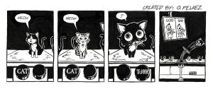 <img300*0:stuff/deeterhi_catentry.jpg>