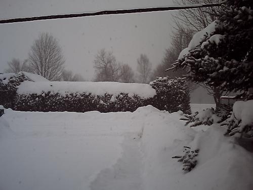 <img500*375:stuff/driveway_in_snow.jpg>