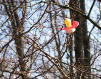 <img200*0:stuff/dummy-in-tree.jpg>