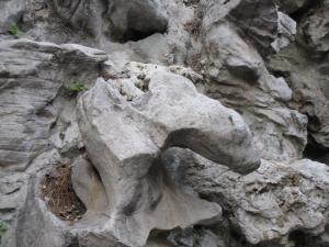 <img300*0:stuff/easterling_emperorsgardenstones2.jpg>