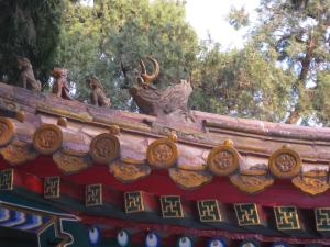 <img300*0:stuff/easterling_theemperorsgardenroof.jpg>