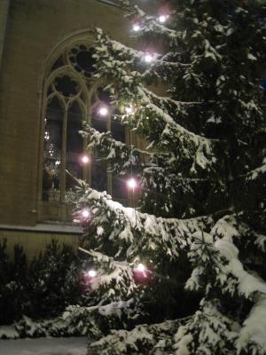 <img300*0:stuff/easterling_winter09_1.jpg>