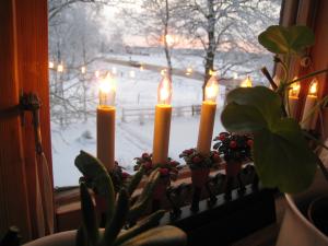 <img300*0:stuff/easterling_winter09_11.jpg>