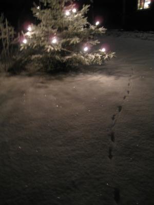 <img300*0:stuff/easterling_winter09_13.jpg>