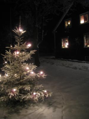 <img300*0:stuff/easterling_winter09_14.jpg>