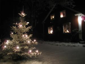 <img300*0:stuff/easterling_winter09_16.jpg>