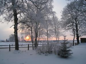 <img300*0:stuff/easterling_winter09_2.jpg>