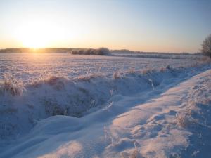 <img300*0:stuff/easterling_winter09_24.jpg>