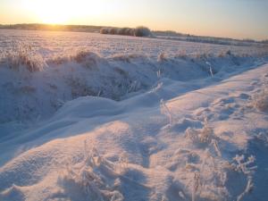 <img300*0:stuff/easterling_winter09_25.jpg>