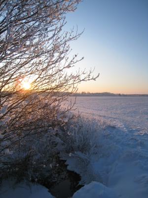 <img300*0:stuff/easterling_winter09_26.jpg>