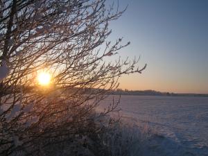 <img300*0:stuff/easterling_winter09_27.jpg>