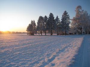 <img300*0:stuff/easterling_winter09_28.jpg>