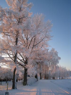 <img300*0:stuff/easterling_winter09_29.jpg>