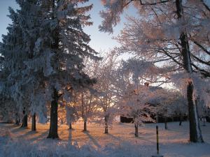 <img300*0:stuff/easterling_winter09_30.jpg>