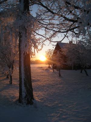 <img300*0:stuff/easterling_winter09_31.jpg>