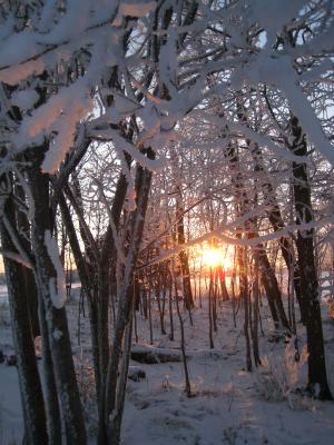 <img300*0:stuff/easterling_winter09_32.jpg>