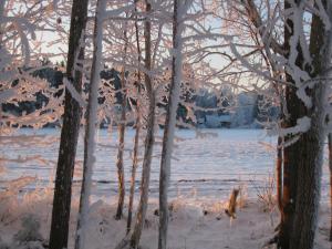 <img300*0:stuff/easterling_winter09_33.jpg>