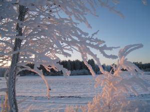 <img300*0:stuff/easterling_winter09_34.jpg>