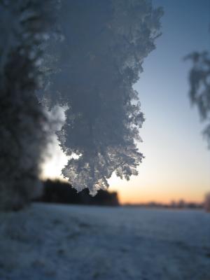 <img300*0:stuff/easterling_winter09_35.jpg>