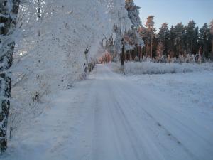 <img300*0:stuff/easterling_winter09_36.jpg>