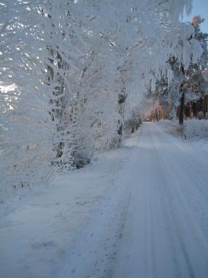 <img300*0:stuff/easterling_winter09_37.jpg>