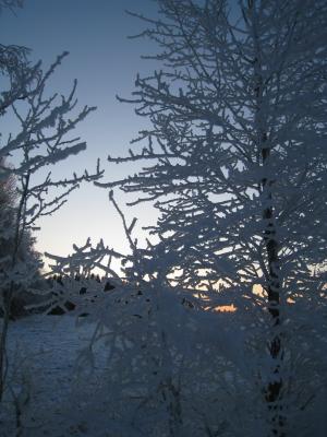 <img300*0:stuff/easterling_winter09_38.jpg>