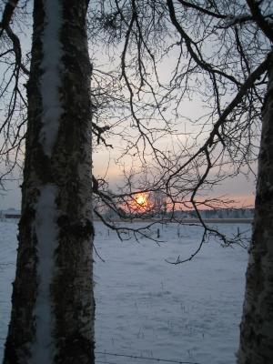 <img300*0:stuff/easterling_winter09_4.jpg>