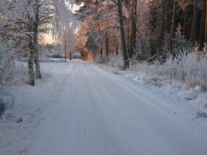 <img300*0:stuff/easterling_winter09_40.jpg>