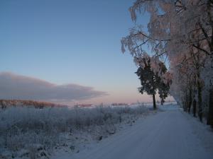 <img300*0:stuff/easterling_winter09_42.jpg>