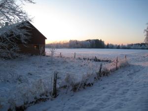 <img300*0:stuff/easterling_winter09_43.jpg>