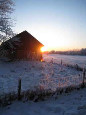 <img300*0:stuff/easterling_winter09_44.jpg>