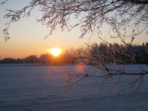 <img300*0:stuff/easterling_winter09_46.jpg>