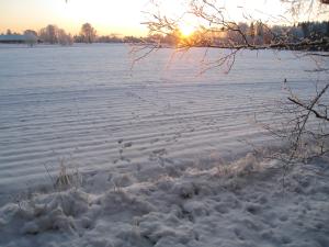 <img300*0:stuff/easterling_winter09_47.jpg>