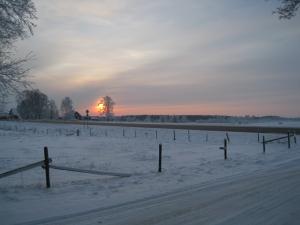 <img300*0:stuff/easterling_winter09_6.jpg>