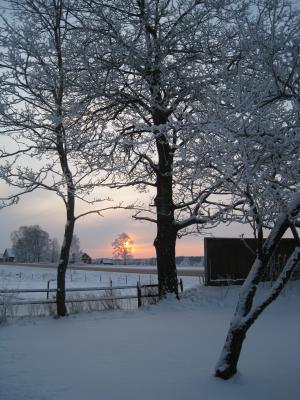 <img300*0:stuff/easterling_winter09_7.jpg>