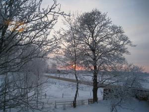 <img300*0:stuff/easterling_winter09_9.jpg>