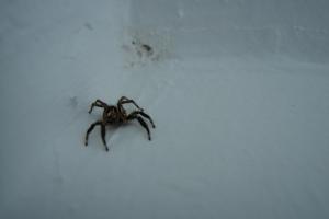 <img300*0:stuff/et-10days-round5-spincrus-day4-somethingthatrepresentsyou.jpg>