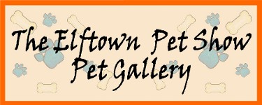 ET Pet Show Gallery