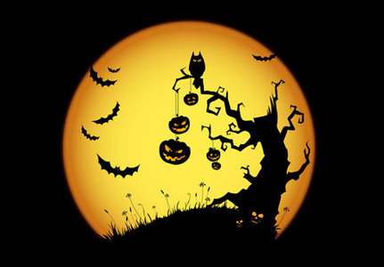 <img:stuff/halloweenpic1013234large%20BethmooraRaven.jpg>