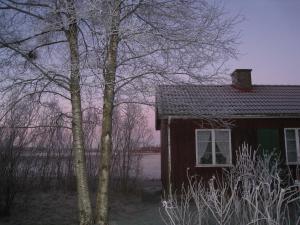 <img300*0:stuff/icehouse.jpg>