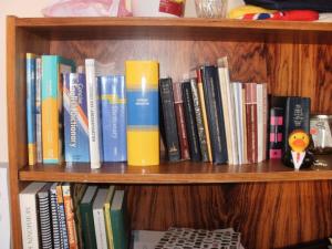 <img300*0:stuff/missnrBookshelf.jpg>