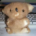 <img0*150:stuff/my%20Koala%20bear.jpg>