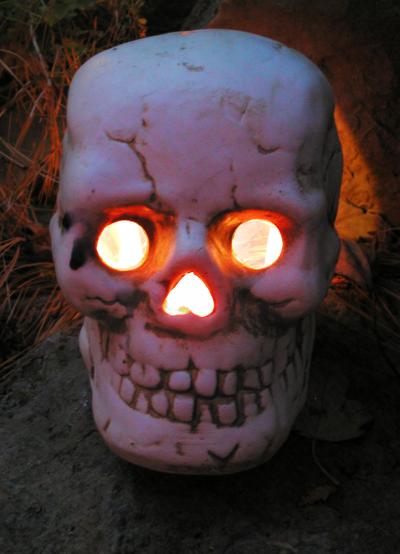 <img400*0:stuff/night%20skull.jpg>