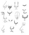 <img100*0:stuff/noses.jpg>