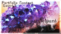 portfolio contest